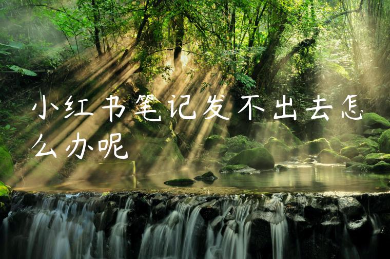 小红书笔记发不出去怎么办呢