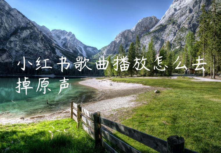 小红书歌曲播放怎么去掉原声 小红书歌曲播放怎么去掉原声