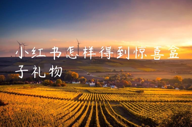 小红书怎样得到惊喜盒子礼物 小红书怎样得到惊喜盒子礼物