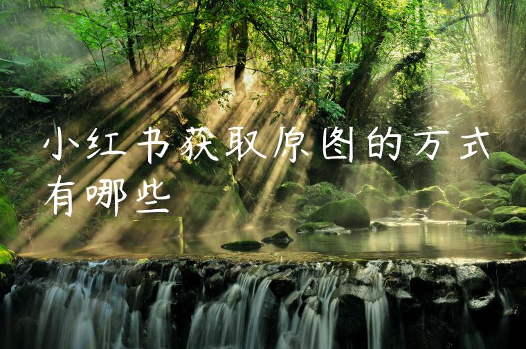 小红书获取原图的方式有哪些 小红书获取原图的方式有哪些