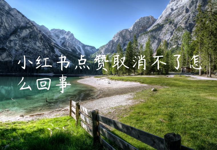 小红书点赞取消不了怎么回事 小红书点赞取消不了怎么回事