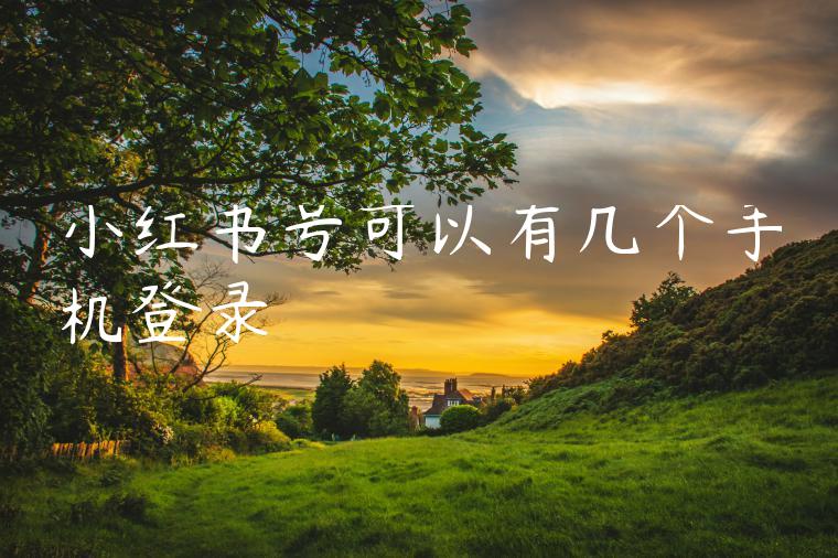 小红书号可以有几个手机登录 小红书号可以有几个手机登录