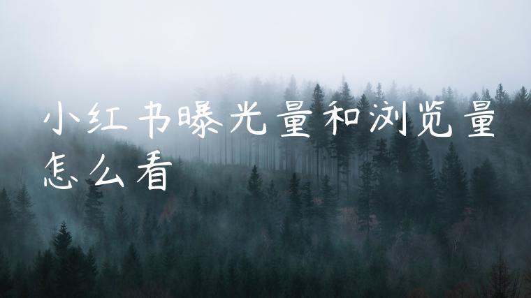 小红书曝光量和浏览量怎么看