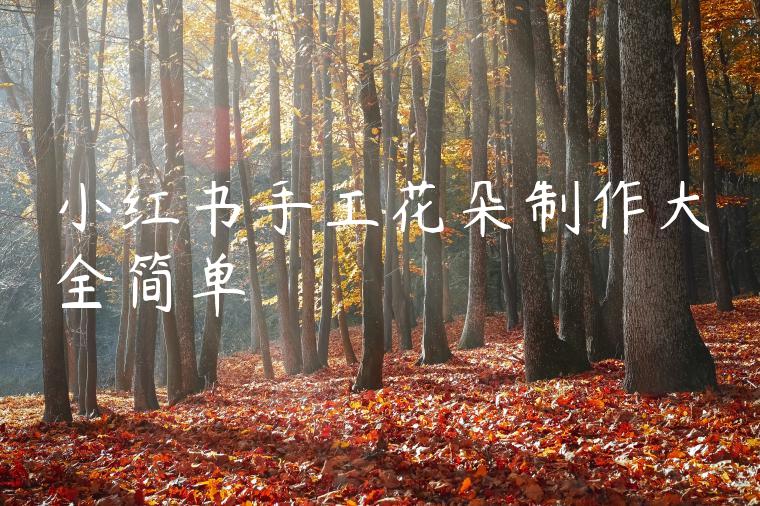 小红书手工花朵制作大全简单