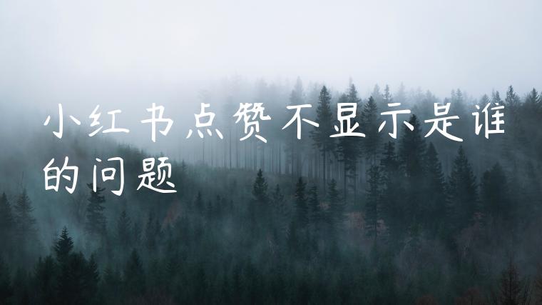 小红书点赞不显示是谁的问题 小红书点赞不显示是谁的问题