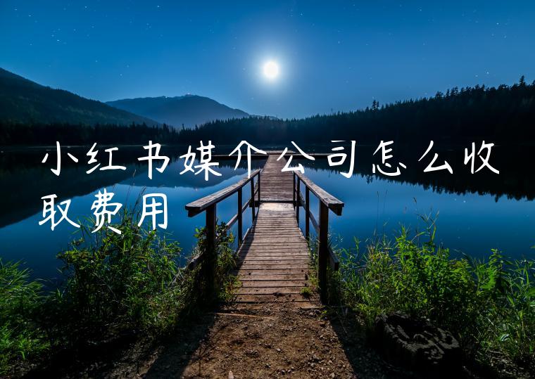 小红书媒介公司怎么收取费用