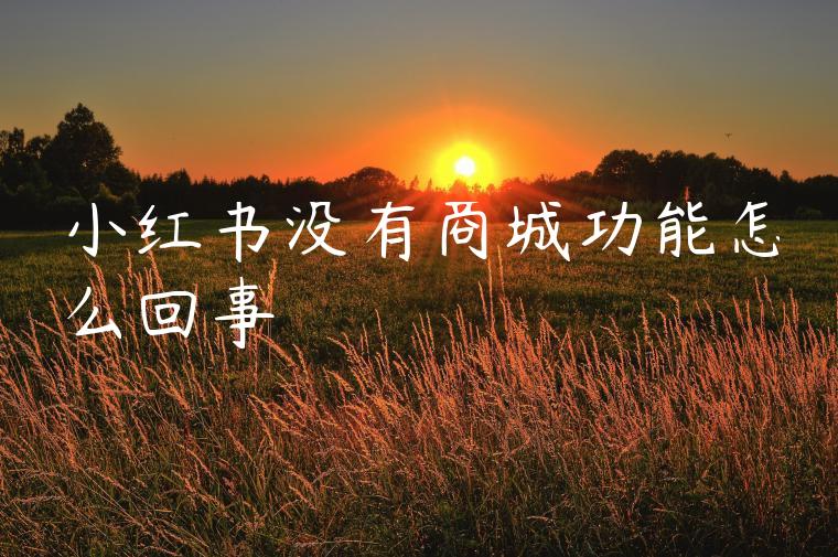 小红书没有商城功能怎么回事 小红书没有商城功能怎么回事