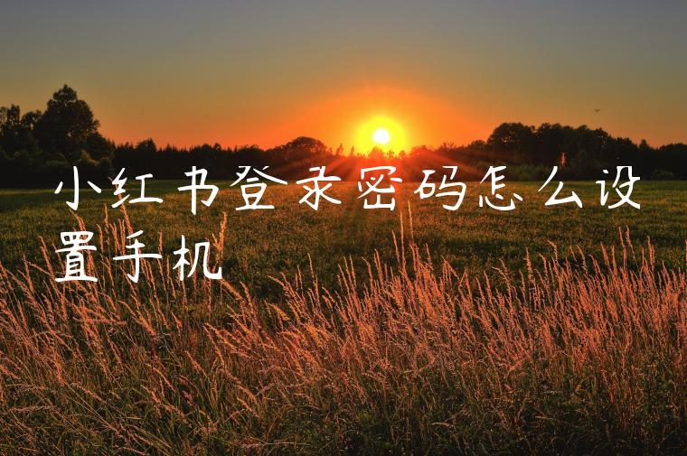 小红书登录密码怎么设置手机