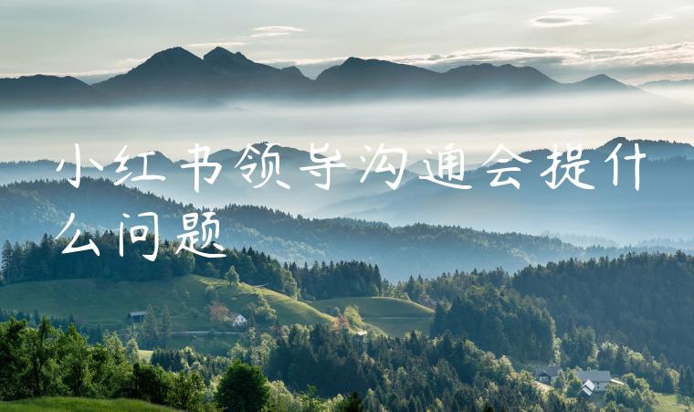 小红书领导沟通会提什么问题