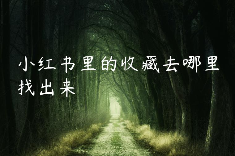 小红书里的收藏去哪里找出来