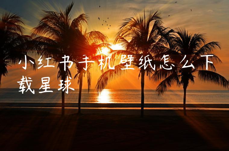 小红书手机壁纸怎么下载星球