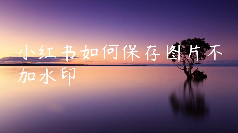 小红书如何保存图片不加水印