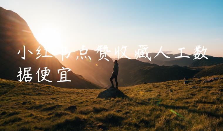 小红书点赞收藏人工数据便宜 小红书点赞收藏人工数据便宜