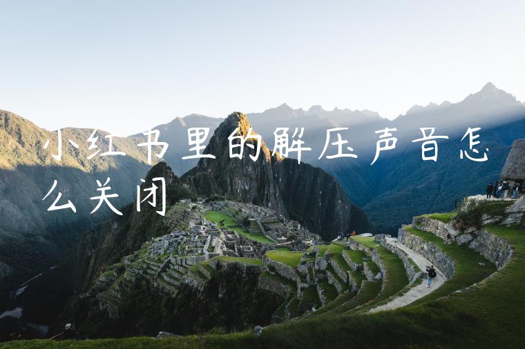 小红书里的解压声音怎么关闭 小红书里的解压声音怎么关闭