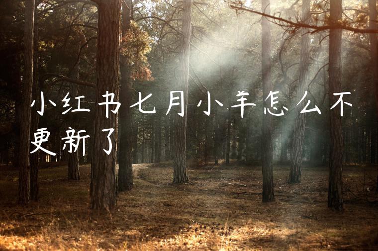 小红书七月小羊怎么不更新了