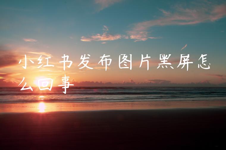 小红书发布图片黑屏怎么回事