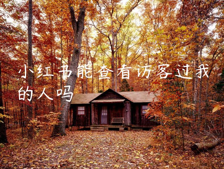 小红书能查看访客过我的人吗