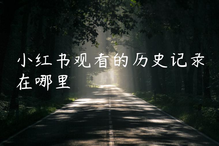 小红书观看的历史记录在哪里