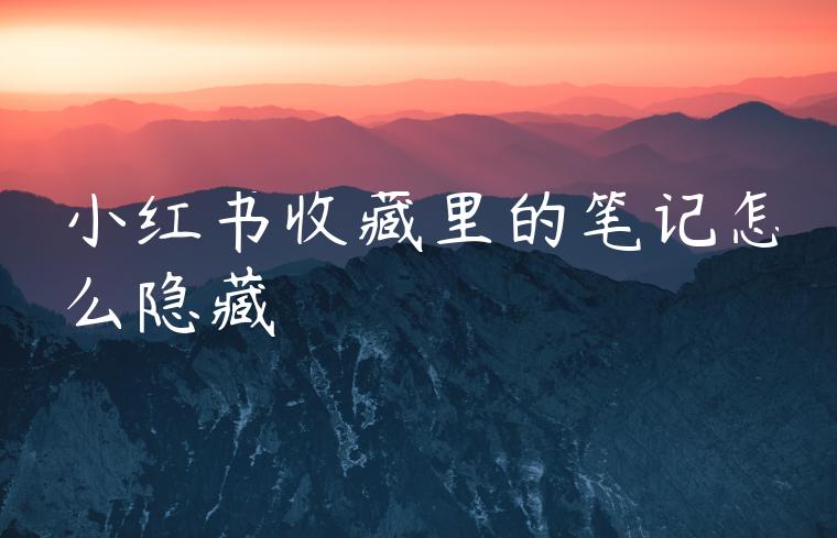 小红书收藏里的笔记怎么隐藏