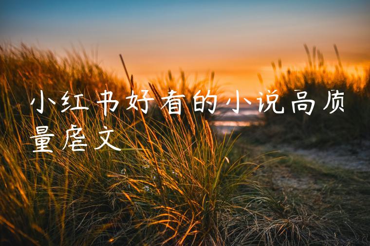 小红书好看的小说高质量虐文