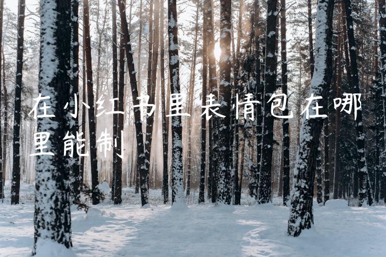 在小红书里表情包在哪里能制