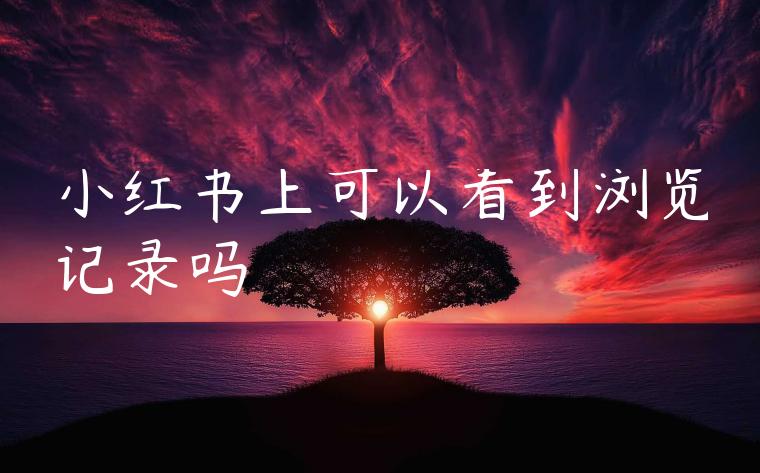 小红书上可以看到浏览记录吗