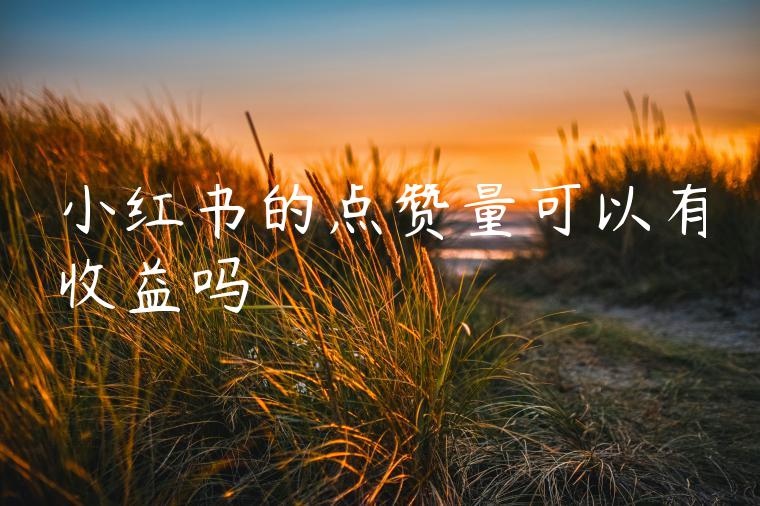 小红书的点赞量可以有收益吗 小红书的点赞量可以有收益吗