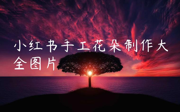 小红书手工花朵制作大全图片 小红书手工花朵制作大全图片