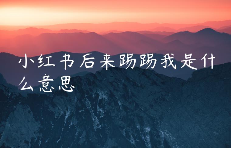 小红书后来踢踢我是什么意思