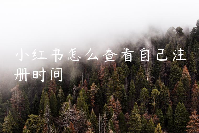 小红书怎么查看自己注册时间