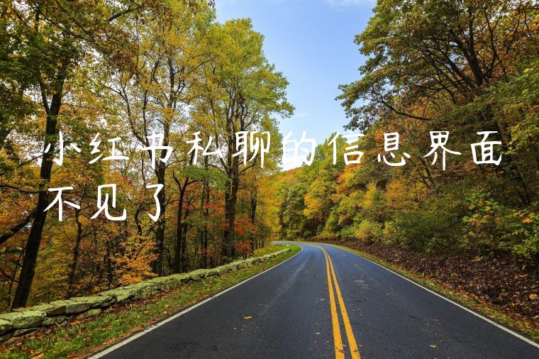 小红书私聊的信息界面不见了
