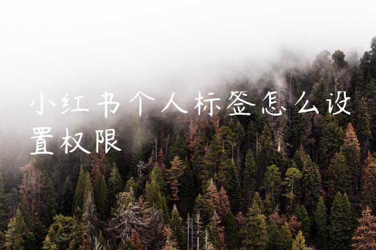 小红书个人标签怎么设置权限