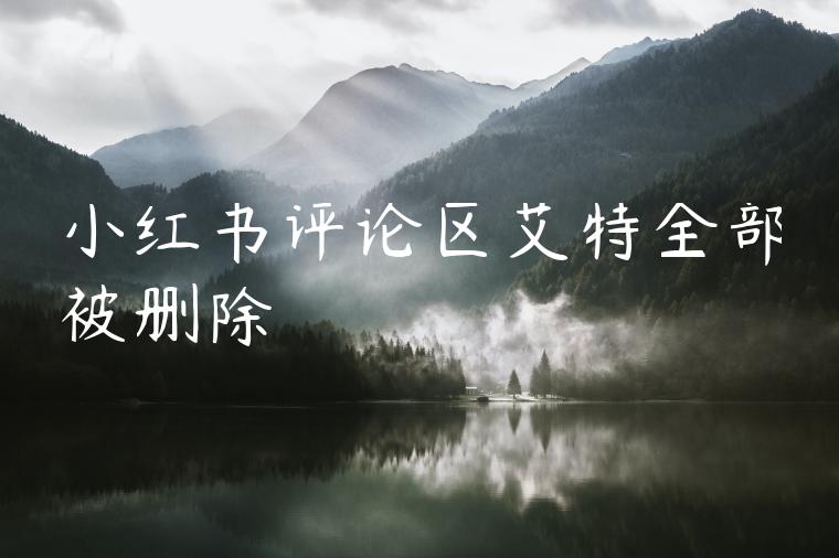 小红书评论区艾特全部被删除