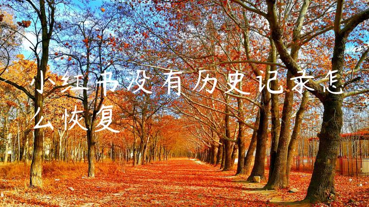 小红书没有历史记录怎么恢复 小红书没有历史记录怎么恢复