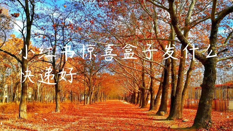 小红书惊喜盒子发什么快递好 小红书惊喜盒子发什么快递好