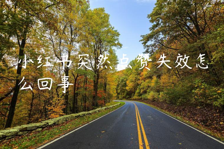 小红书突然点赞失效怎么回事 小红书突然点赞失效怎么回事