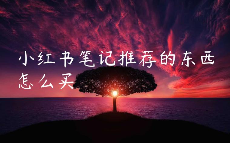 小红书笔记推荐的东西怎么买 小红书笔记推荐的东西怎么买