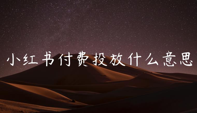 小红书付费投放什么意思