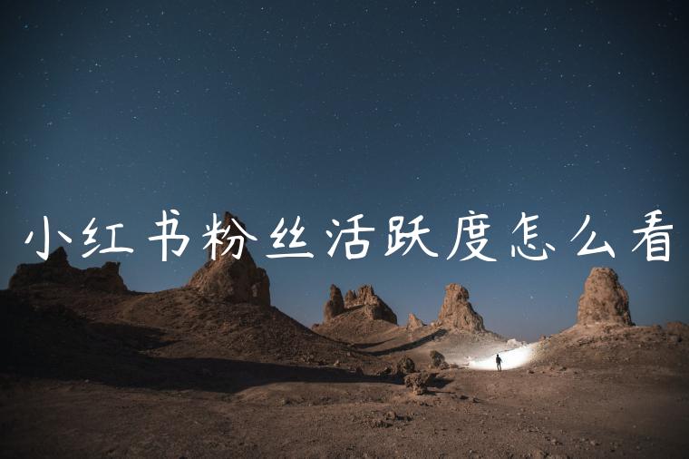 小红书粉丝活跃度怎么看 小红书粉丝活跃度怎么看