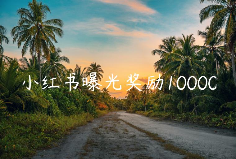 小红书曝光奖励10000 小红书曝光奖励10000