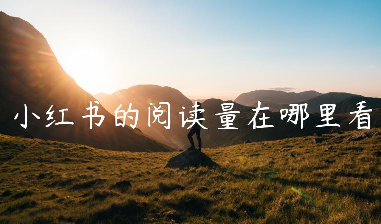 小红书的阅读量在哪里看 小红书的阅读量在哪里看