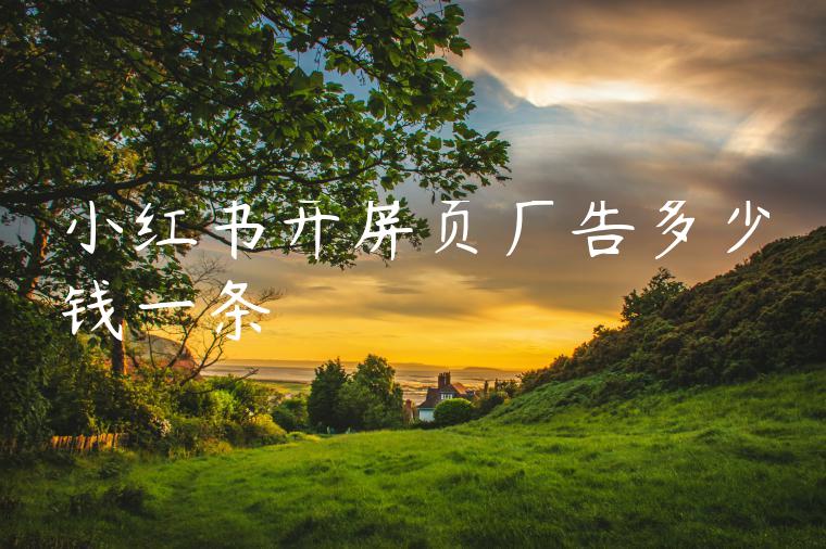 小红书开屏页广告多少钱一条