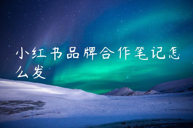 小红书品牌合作笔记怎么发