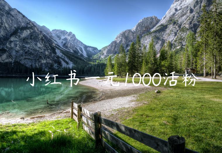 小红书一元1000活粉