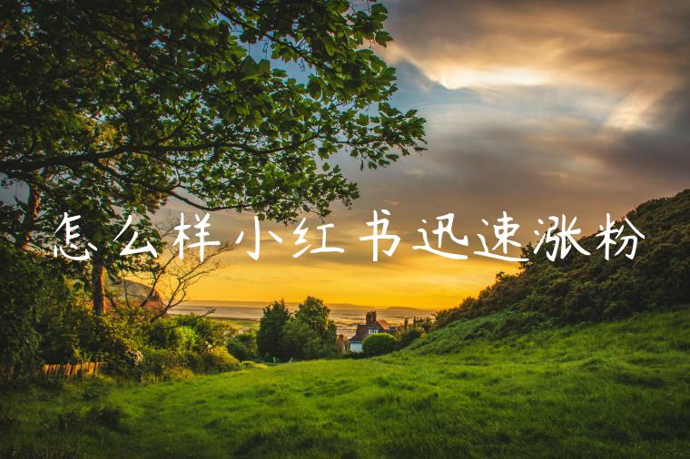 怎么样小红书迅速涨粉 怎么样小红书迅速涨粉