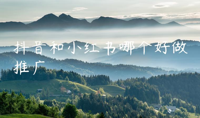 抖音和小红书哪个好做推广