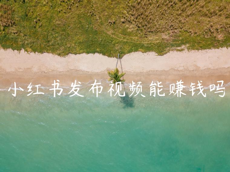 小红书发布视频能赚钱吗 小红书发布视频能赚钱吗