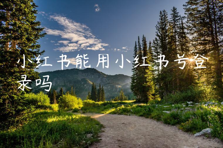 小红书能用小红书号登录吗