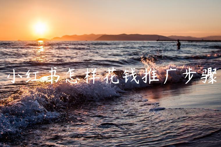 小红书怎样花钱推广步骤 小红书怎样花钱推广步骤