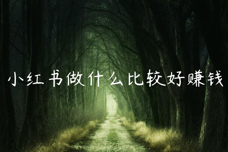 小红书做什么比较好赚钱